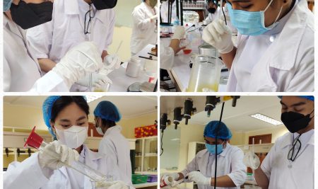 Pharmacy Students Explore Formulation Principles and Technology to Create Innovative Products